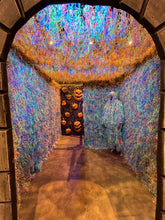 Load image into Gallery viewer, Evil Pumpkin #2 EP102