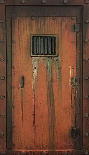 Prison Cell Door IN203